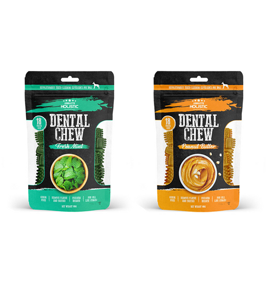 Absolute Holistic Dental Chew 160g