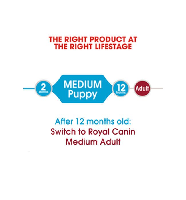 Royal Canin Medium 4kg