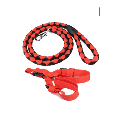 Strong Diamond Leash with Harness