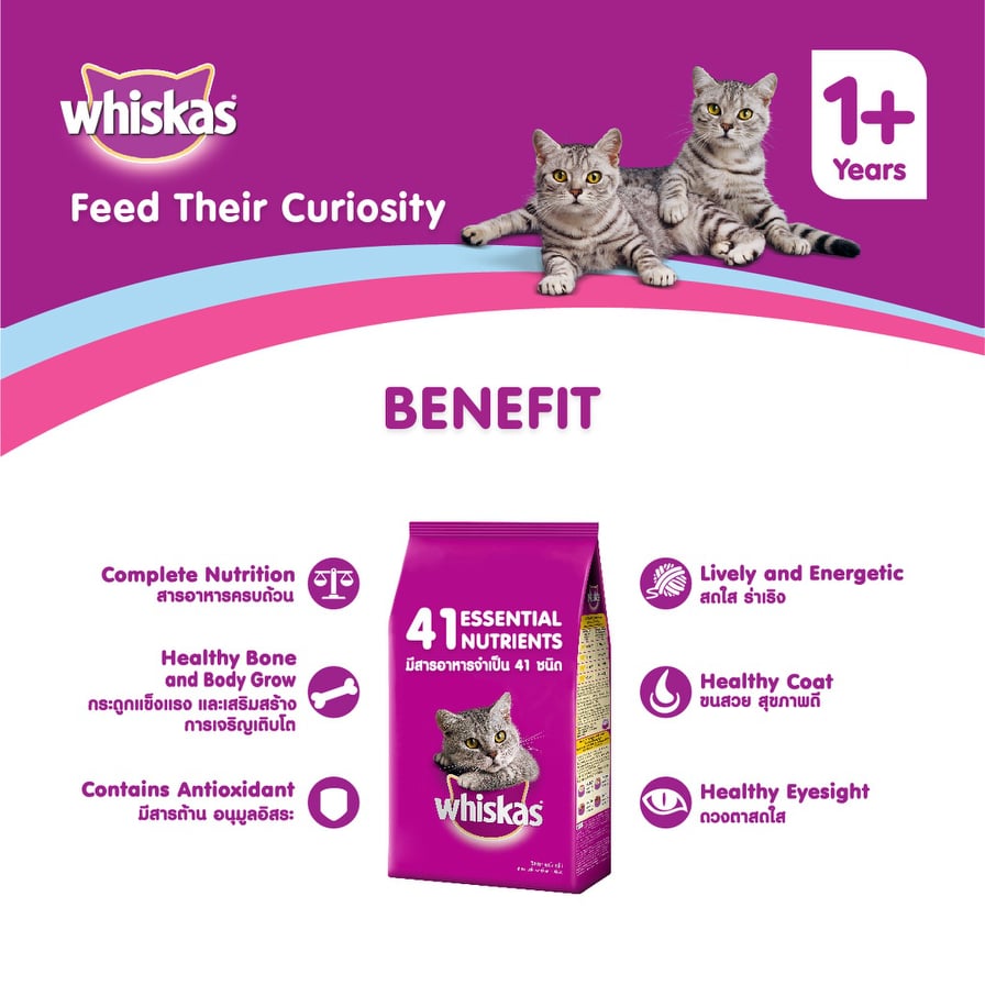 Whiskas Cat Dry Food Adult 1.2kg Pet Culture PH